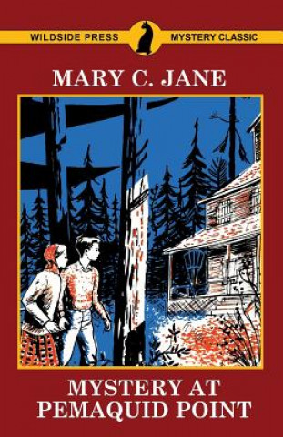 Könyv Mystery at Pemaquid Point Mary C. Jane