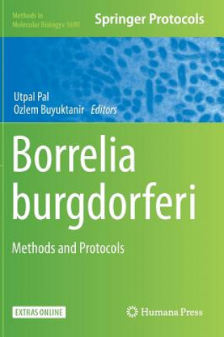 Книга Borrelia burgdorferi Utpal Pal