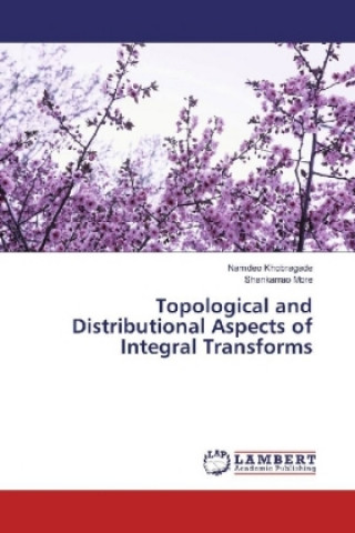 Kniha Topological and Distributional Aspects of Integral Transforms Namdeo Khobragade