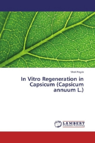Kniha In Vitro Regeneration in Capsicum (Capsicum annuum L.) Vivek Hegde