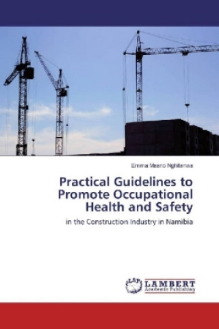 Knjiga Practical Guidelines to Promote Occupational Health and Safety Emma Maano Nghitanwa