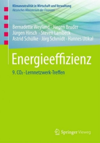 Kniha Energieeffizienz Bernadette Weyland