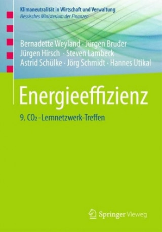 Knjiga Energieeffizienz Bernadette Weyland