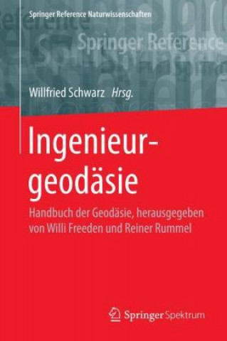 Kniha Ingenieurgeodasie Willfried Schwarz
