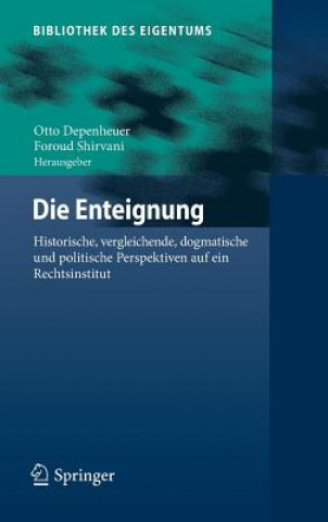 Buch Die Enteignung Otto Depenheuer