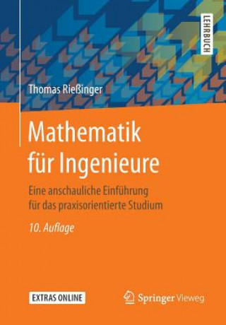 Book Mathematik fur Ingenieure Thomas Rießinger