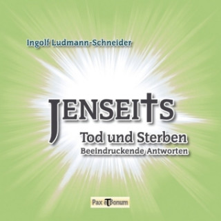 Książka Jenseits, Tod und Sterben Ingolf Ludmann-Schneider