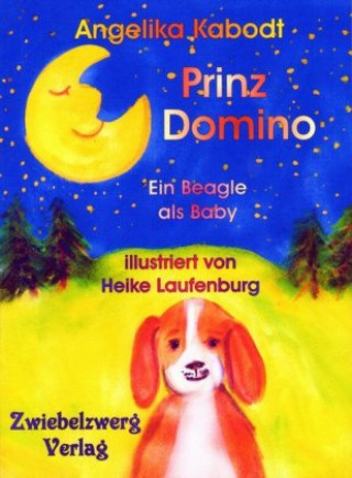 Könyv Prinz Domino Angelika Kabodt