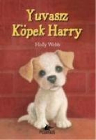 Kniha Yuvasiz Köpek Harry Holly Webb