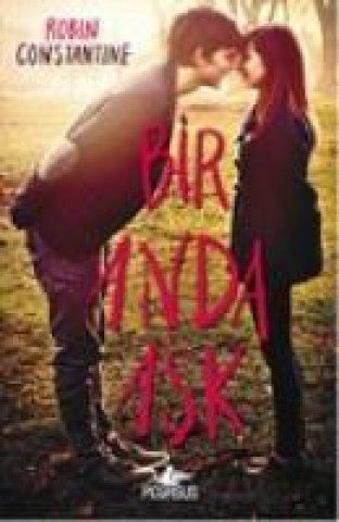 Buch Bir Anda Ask Robin Constantine