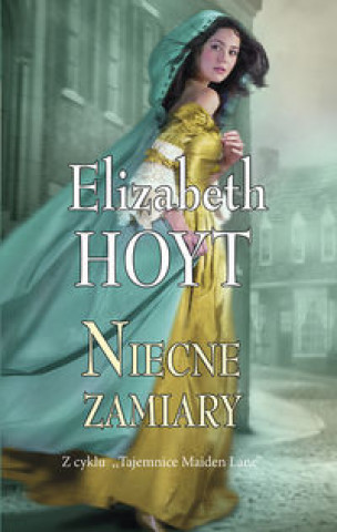 Kniha Niecne zamiary Hoyt Elizabeth