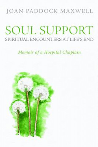 Buch Soul Support: Spiritual Encounters at Life's End Joan Paddock Maxwell