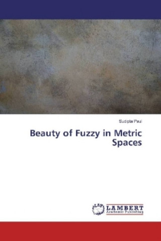 Книга Beauty of Fuzzy in Metric Spaces Sudipta Paul