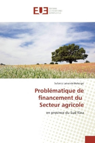 Knjiga Problématique de financement du Secteur agricole Safanto Lukendo Bulongo