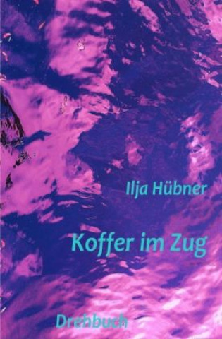 Carte Koffer im Zug Ilja Hübner