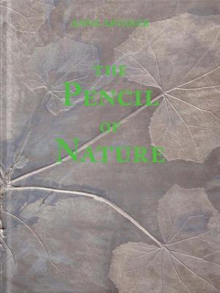 Kniha Anna Artaker. The Pencil Of Nature Lisa Ortner-Kreil