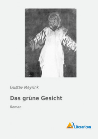 Kniha Das grüne Gesicht Gustav Meyrink