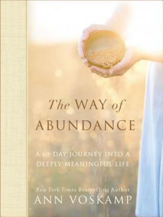 Book Way of Abundance VOSKAMP  ANN