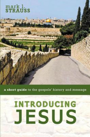 Livro Introducing Jesus STRAUSS  MARK L.
