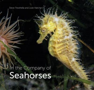 Könyv In the Company of Seahorses Steve Trewhella