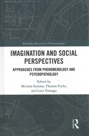 Kniha Imagination and Social Perspectives 