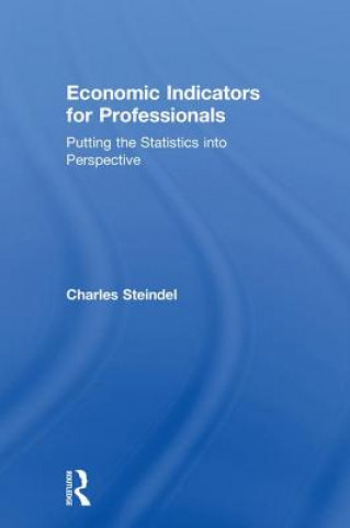 Kniha Economic Indicators for Professionals Steindel