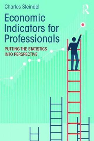 Könyv Economic Indicators for Professionals Steindel