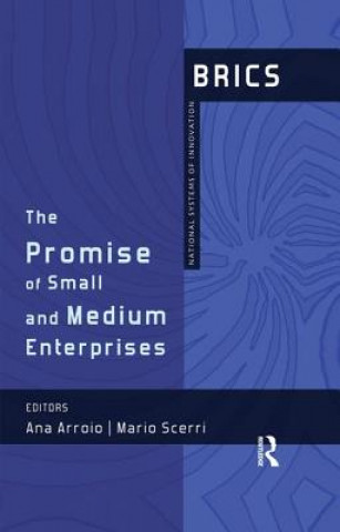 Könyv Promise of Small and Medium Enterprises 