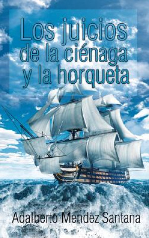 Livre Juicios de la Ci naga y La Horqueta ADAL MENDEZ SANTANA