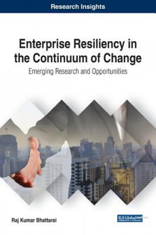 Knjiga Enterprise Resiliency in the Continuum of Change Raj Kumar Bhattarai