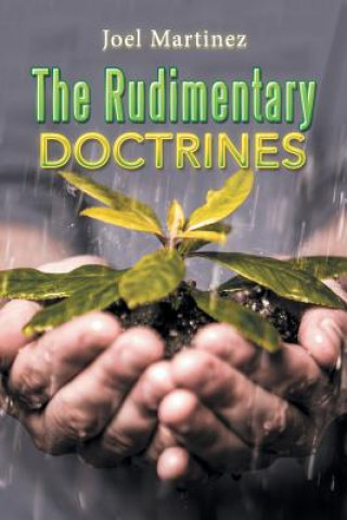 Książka Rudimentary Doctrines JOEL MARTINEZ