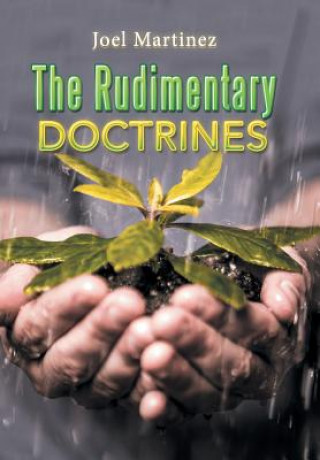 Książka Rudimentary Doctrines JOEL MARTINEZ