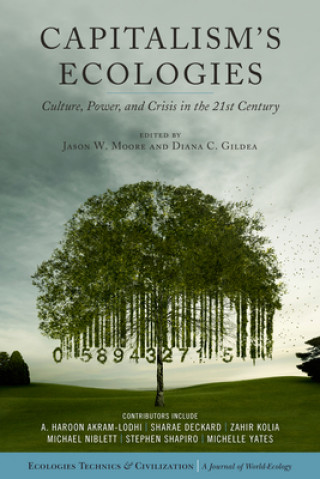 Könyv Capitalism's Ecologies Jason Moore