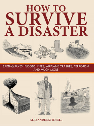 Könyv How to Survive a Disaster Alexander Stilwell