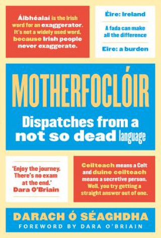 Kniha Motherfocloir Darach O'Seaghdha