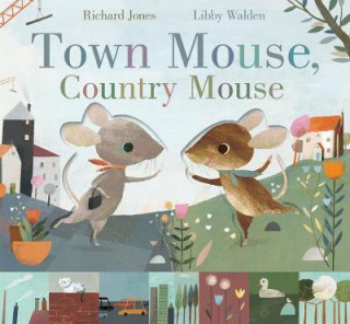 Kniha Town Mouse, Country Mouse Libby Walden