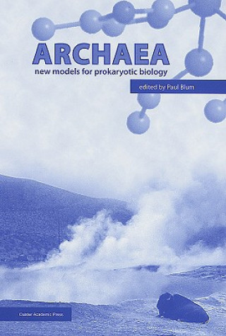 Book Archaea Paul Blum