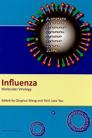 Książka Influenza 