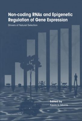 Książka Non-Coding RNAs and Epigenetic Regulation of Gene Kevin V Morris