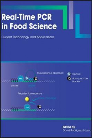 Książka Real-Time PCR in Food Science David Rodriguez-Lazaro