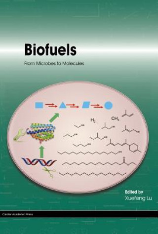 Knjiga Biofuels Xuefeng Lu