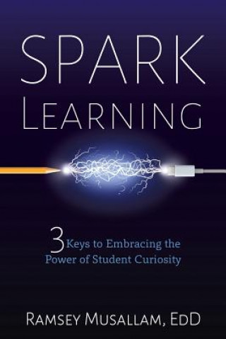 Книга Spark Learning RAMSEY MUSALLAM