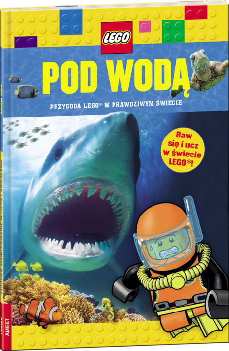 Book LEGO DEEP DIVE POLISH EDITIO 