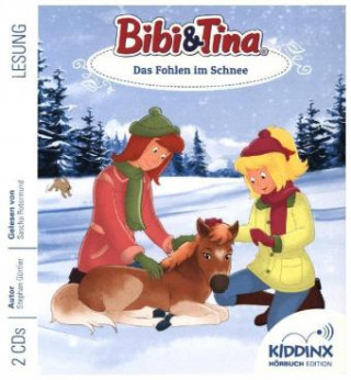 Аудио Bibi & Tina - Das Fohlen im Schnee, 2 Audio-CDs 