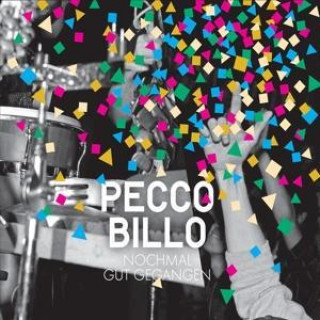Audio Nochmal gut gegangen Pecco Billo