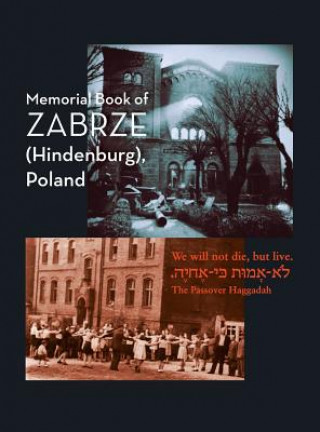 Kniha Zabrze (Hindenburg) Yizkor Book William Leibner