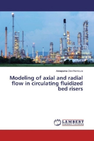 Książka Modeling of axial and radial flow in circulating fluidized bed risers Annapurna Devi Nambula