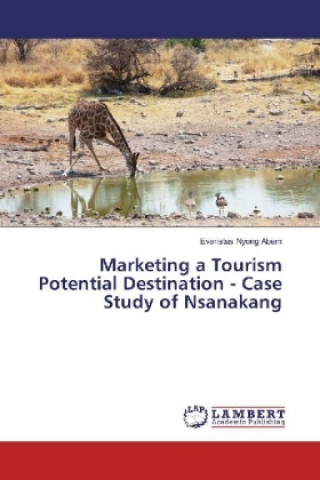 Carte Marketing a Tourism Potential Destination - Case Study of Nsanakang Evaristus Nyong Abam