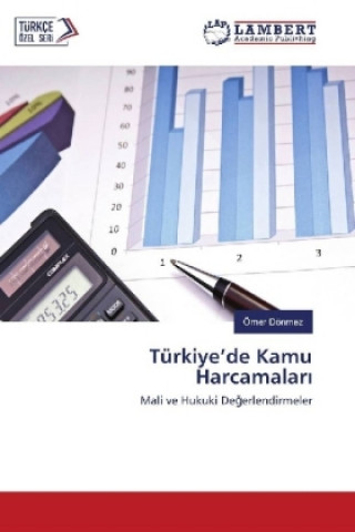 Buch Türkiye'de Kamu Harcamalari Ömer Dönmez