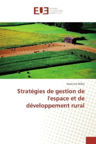 Carte Stratégies de gestion de l'espace et de développement rural Ousmane Nébié